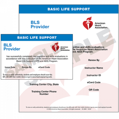 American Heart Association BLS CPR Renewal